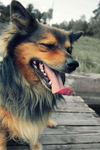 Sparki :)