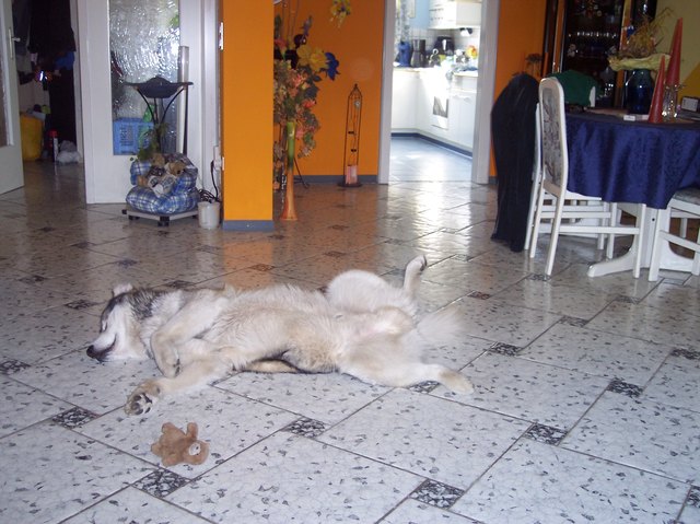 So kann man auch schlafen :P