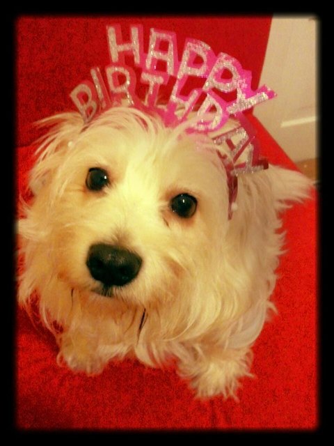 Tina´s Super Sweet 4.