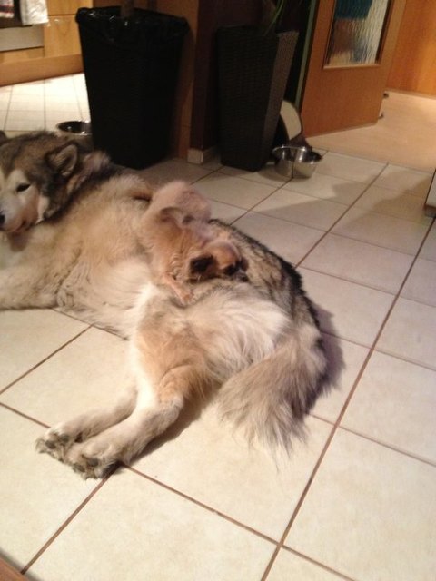 Das beste "bett" zum schlafen