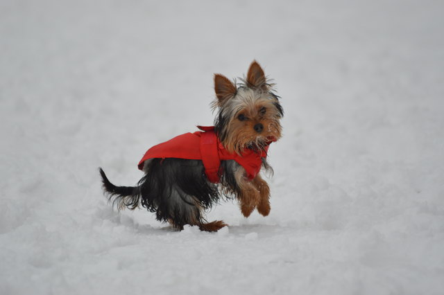 Murphys erster Winter