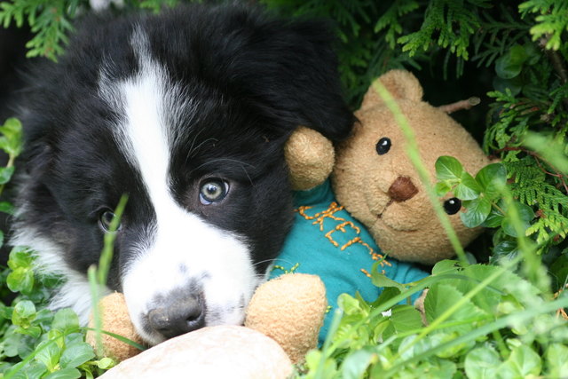 Joker mit erstem Stofftier :)