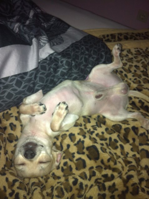 So schläft es sich am Besten !