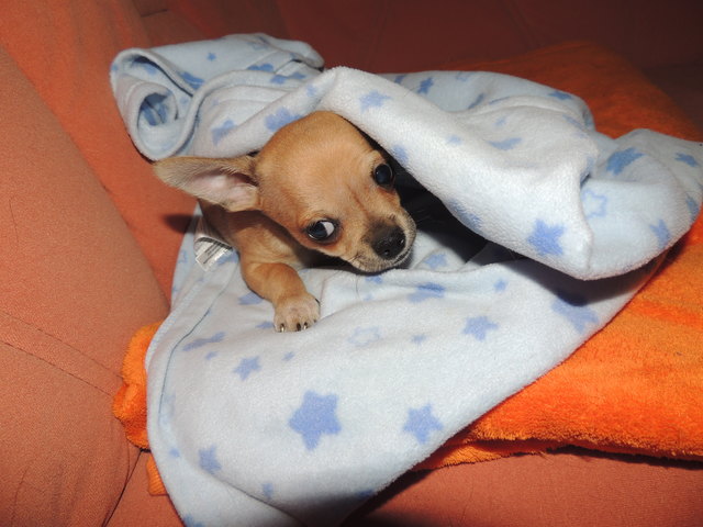 ab in mein Versteck....