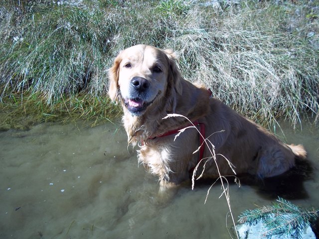 Gelenkstherapie im Moorbad :)