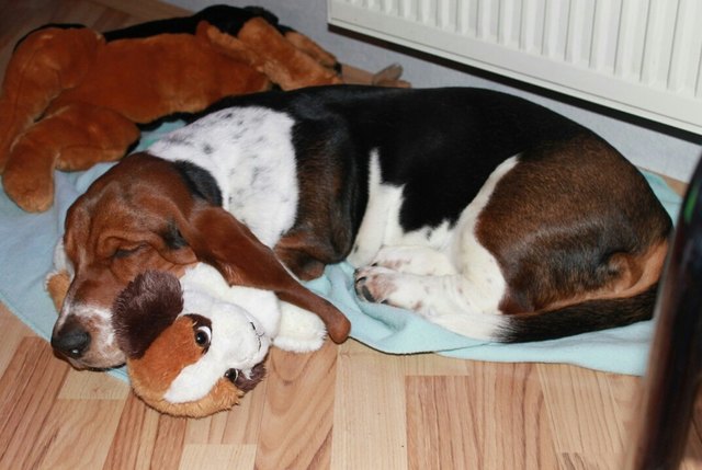 Ach ja :-D Die kleine Schlafmütze