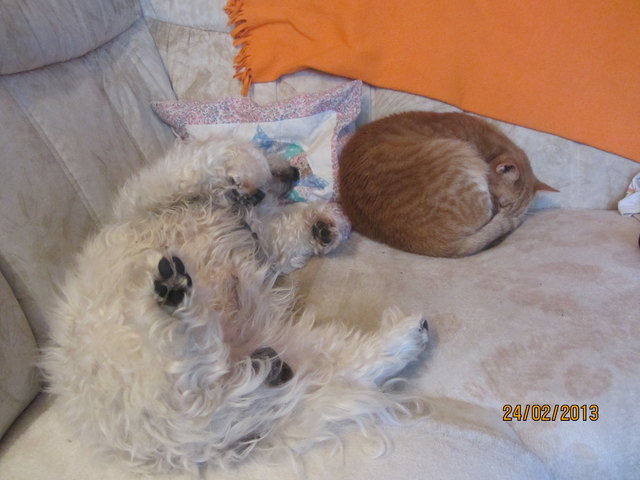 BENNY UND LUKY SCHLAFEN GEMEINSAM