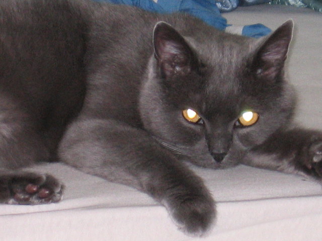 ich bin moritz, 17 jahre alt!!!