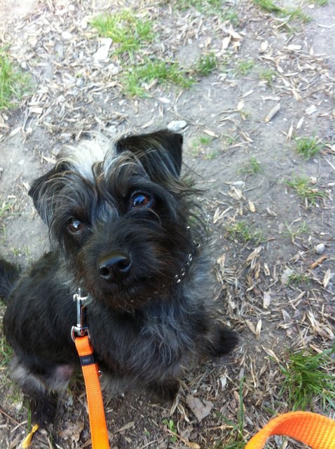 Unser Sonnenschein Ramses