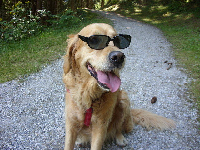 So eine Bergtour im Pinzgau ist anstrengend!!