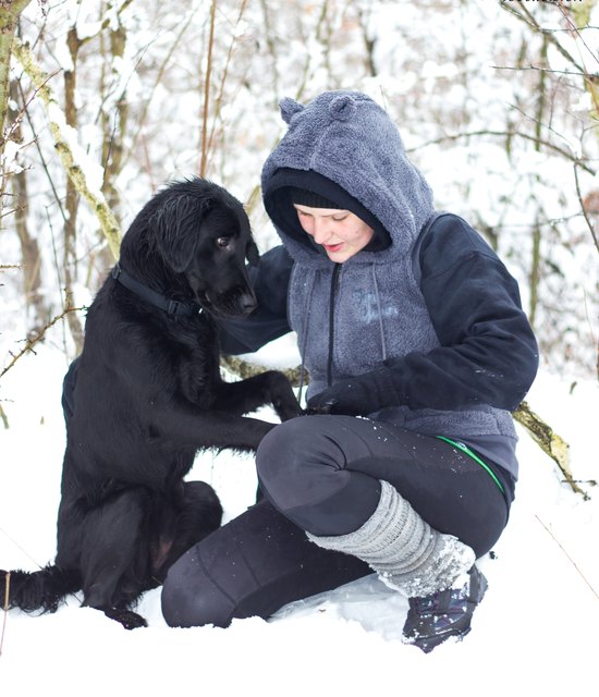 grad bei ``Gib Pfote`` Lernen.Retriver Zoe 5 Monate