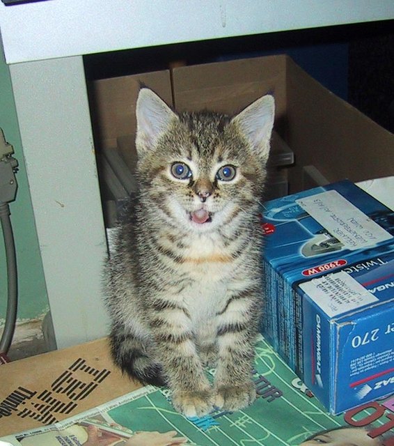 Dieser Platz gehört mir!