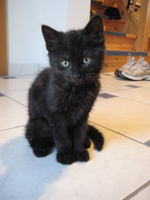 Bin ich nicht süß?