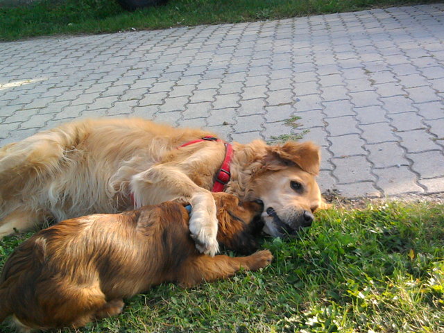 "Wir haben uns ganz viel lieb"  :) - Aika und Pauli
