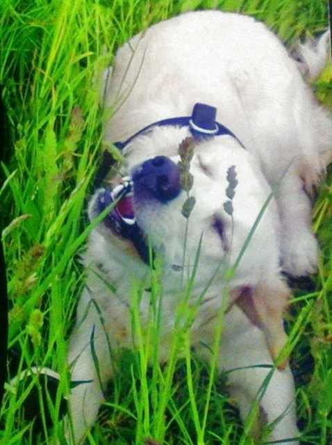 Mein baby Cira 1jahr