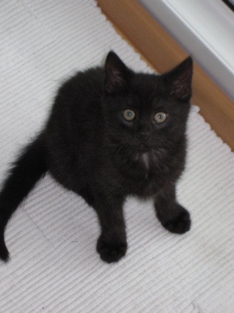 Was gibt's den da zu schauen :) ?