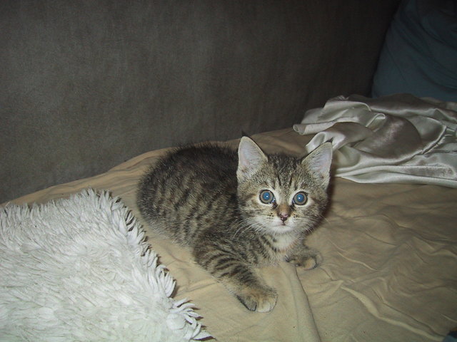 Ich bin die Susi, und ab jetzt bleib ich hier!