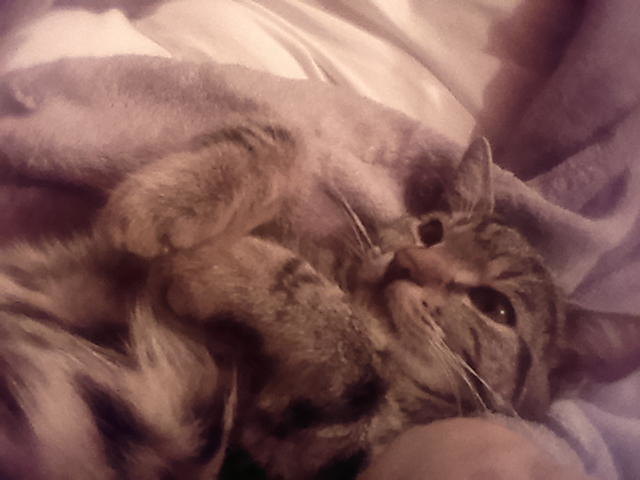 schnucki ganz entspannt