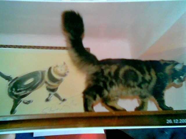 Wer war zuerst da? Zuerst war das Bild, dann kam Benny.