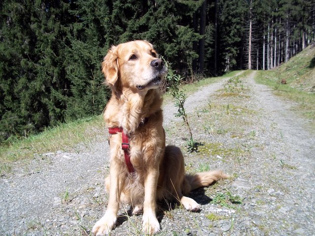 also ich hör da was!!!