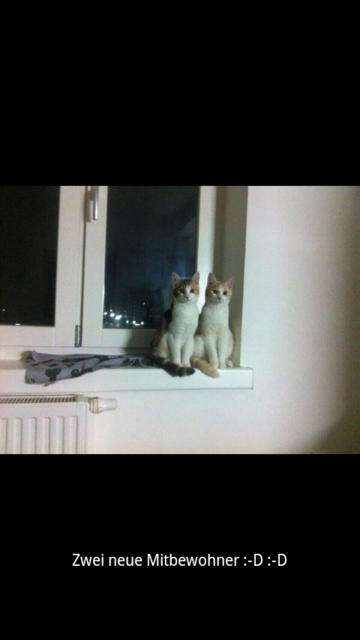 wir waren's nicht ;-)