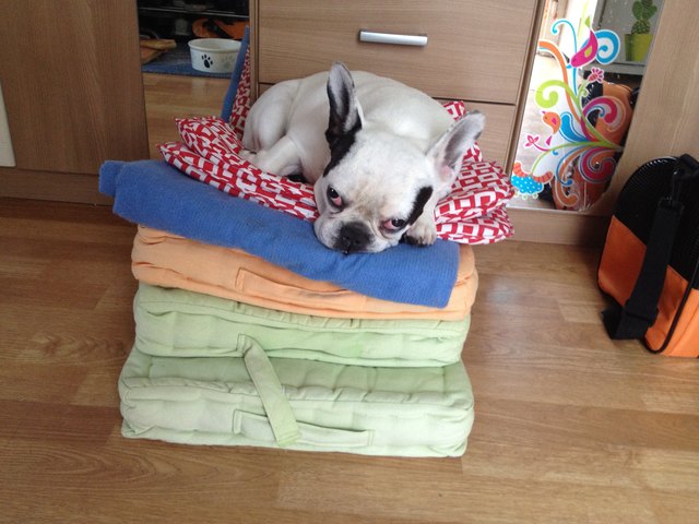 prinzessin auf der erbse