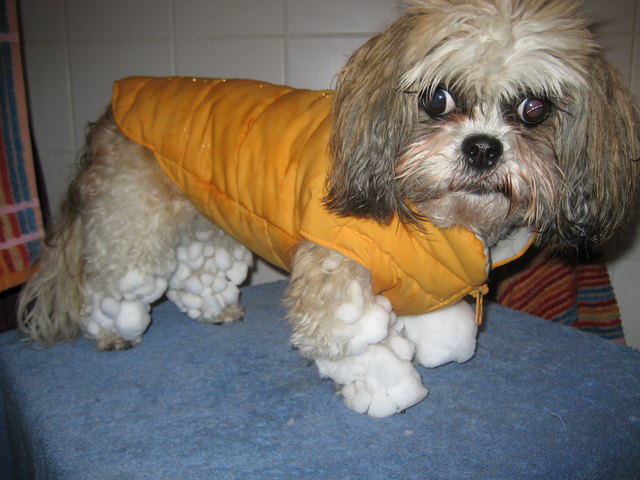 ... also vom heurigen Winter habe ich, ehrlich gesagt, die Nase voll.