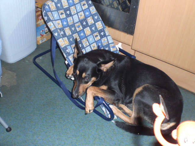 Statt dem Kind bin ich mal beim Schlafen in der Wippe