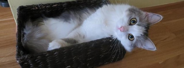 Süss?? Wer?? Ich?? Neeeeee ;)