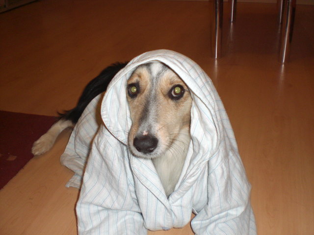 bin Fertig fürs Bett Zähne geputzt und ab in die Falle.