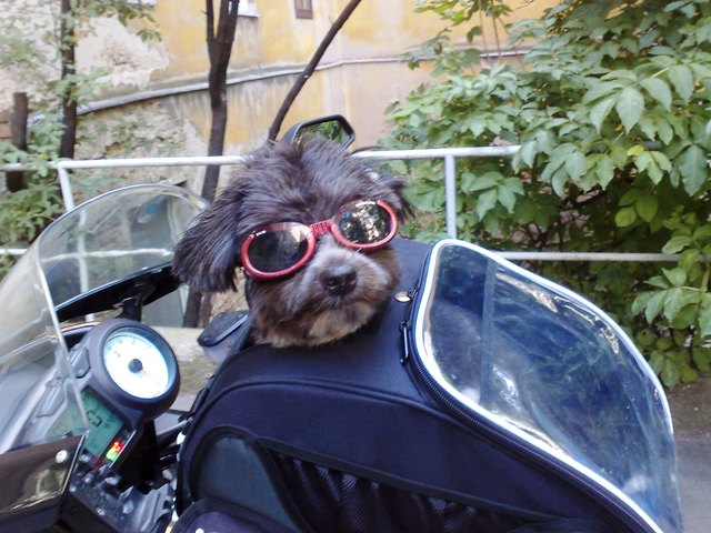 Bin ein richtiger Motorradbiker !!!