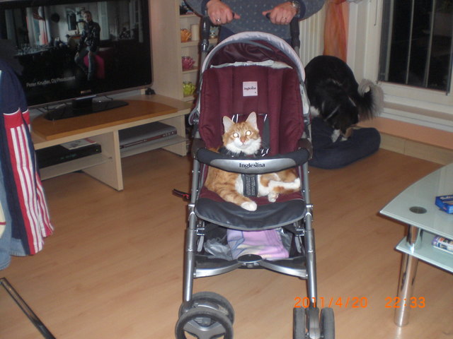 Jetzt mal gemütlich führen lassen