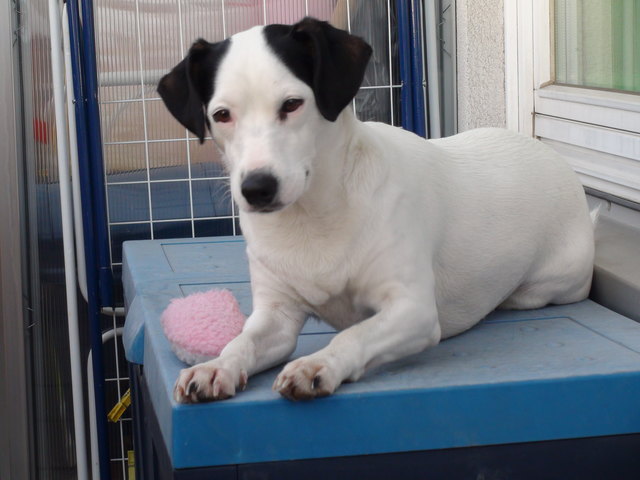 VERA AUF DER TERRASSE...