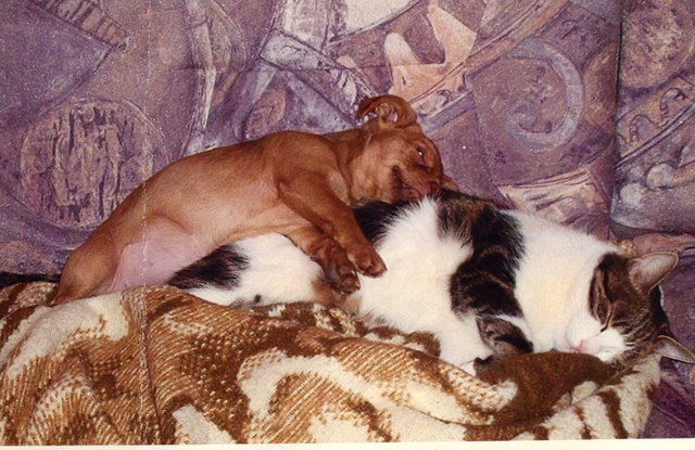 Wir haben uns so lieb! eingesendet von Ernst Schmied