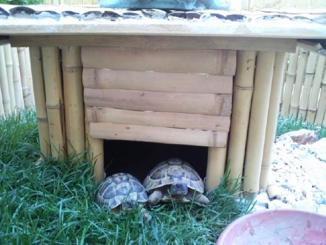 wir sind Johnny und Jin