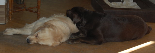 So ein feiner Polster .....