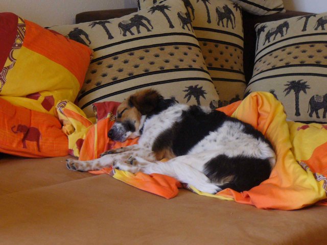 mein größter schatz