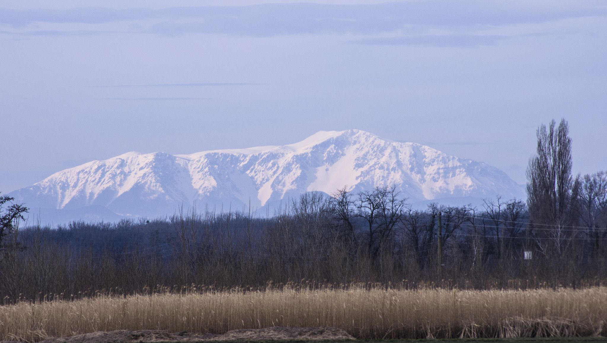 Weißer Riese - Bruck an der Leitha