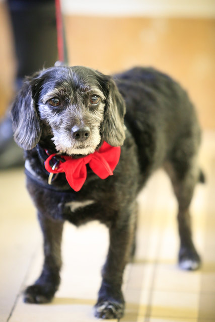 Für Fraulis Hochzeit im feinsten Zwirn