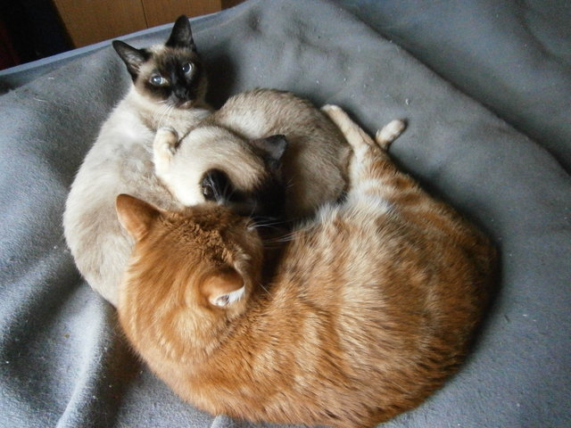 Ein gutes Schläfchen ist nie zu verachten