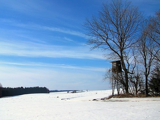Am Kuenringerweg 611 zwischen Thaua und Scheideldorf
