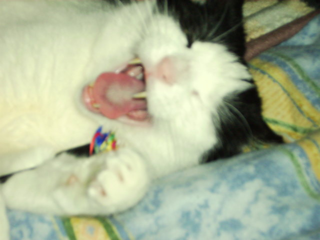 das war ein guter witz