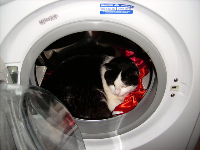 mein neuer schlafplatz