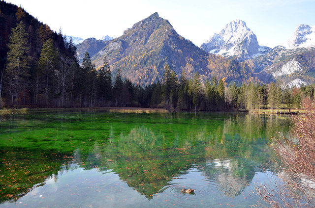 PLATZ 1: Monika Schlader aus Schlierbach mit dem Fotobeschreibung: "Älter werden, ist wie auf einen Berg steigen: je höher man kommt, ums so mehr Kräfte sind verbraucht, aber ums so weiter sieht man" | Foto: Foto: Schlader