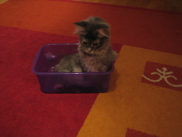 Hier fühle ich mich pudelwohl :-)