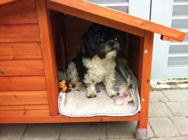 my home is my castle sagt die kleine lilly