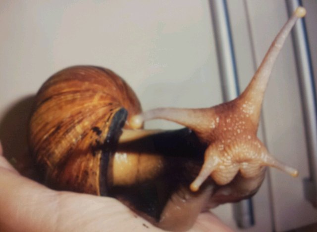 Auch Ich werde geliebt !