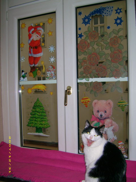 oh tannenbaum,oh tannenbaum