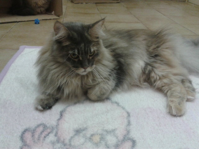 Schön gemütlich...