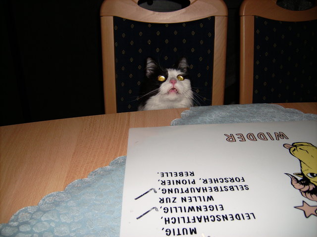 wo bleibt mein essen